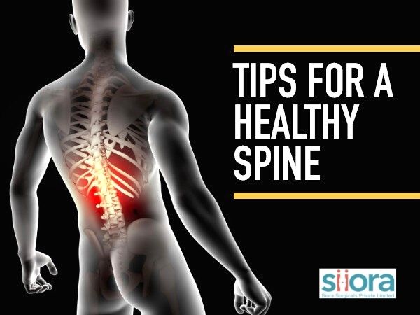 Spine Healthy